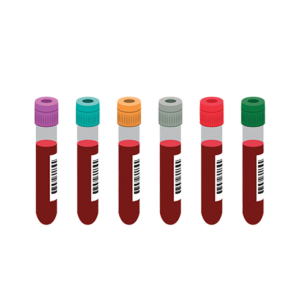 CVP02 I Techniques d'injection et prélèvements sanguins: Skills training