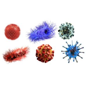 DME18 I Virale und bakterielle Hautinfekte