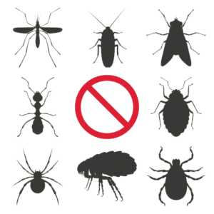 PDO08 I Parasiten, Insekten und Reisesouvenirs