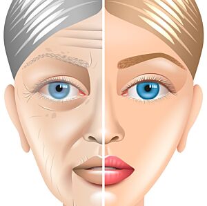 DMP121 I Healthy Aging der Haut – Prävention, Ästhetik und Altershaut