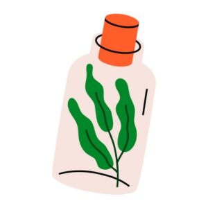 KML07 I Phytotherapie Vertiefung