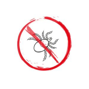 CCE18 I Tiques sous surveillance : Conseil compétent de la prévention au suivi