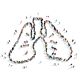 Praxisarbeit Asthma-Check®