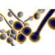 EL03 I Dermatomykosen