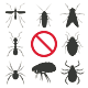 EL04 I Ektoparasiten