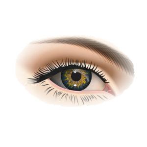 CAL03 I Triage en ophtalmologie - l'oeil sous la loupe