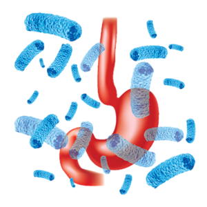 CO12 I Troubles intestinaux et hémorroïdes: conseil à l'officine