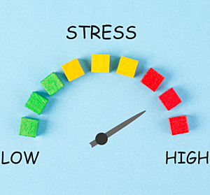 BP44 I Stress-Check