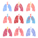 AO54 I Cystische Fibrose und weitere seltene Erkrankungen mit Lungenbeteiligung 2022