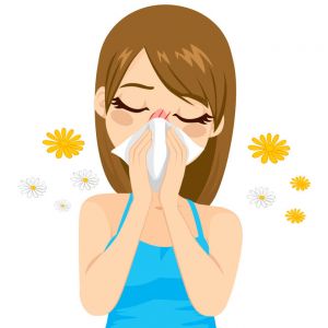 BL26 I Allergie und Atemwege