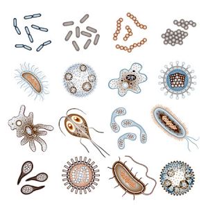 EL09 I Virale und bakterielle Hautinfekte