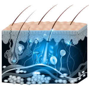 EL12 I Skin Care